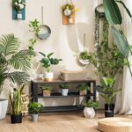 URKV Wooden Shoe Rack for Home | Metal Frame Multipurpose Shoe Cabinet for Living Room & Home Hall Furniture - Image 6